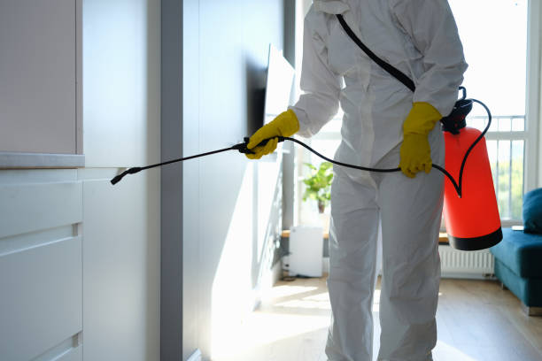 Best White Mold Remediation in Konterra, MD